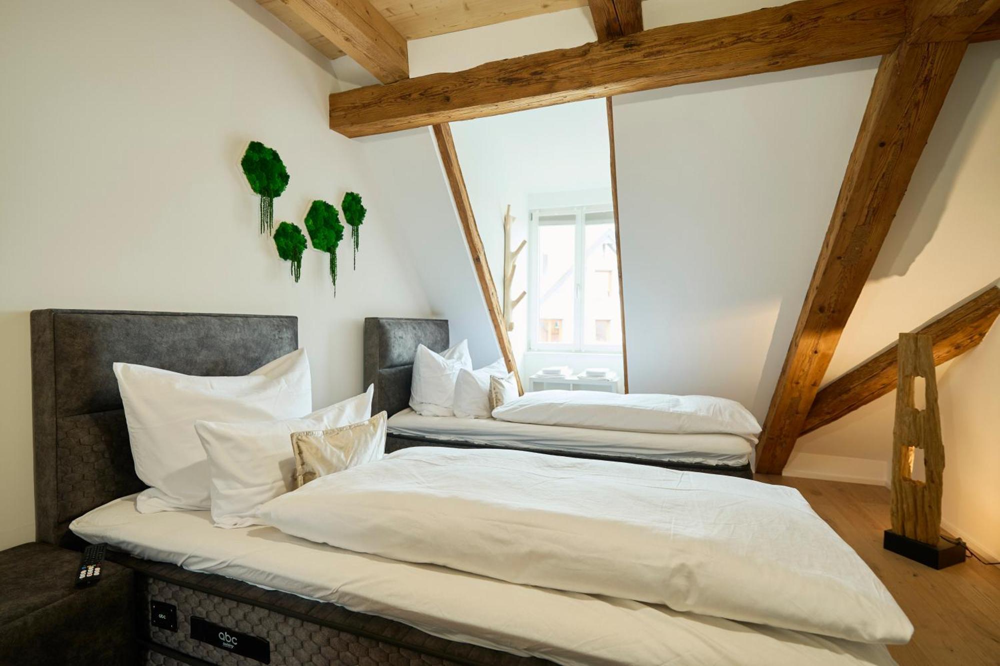 Ferienwohnung Wood World Luxury - Massage - Bergblick - Tranpolin- Parken Markdorf Exterior foto