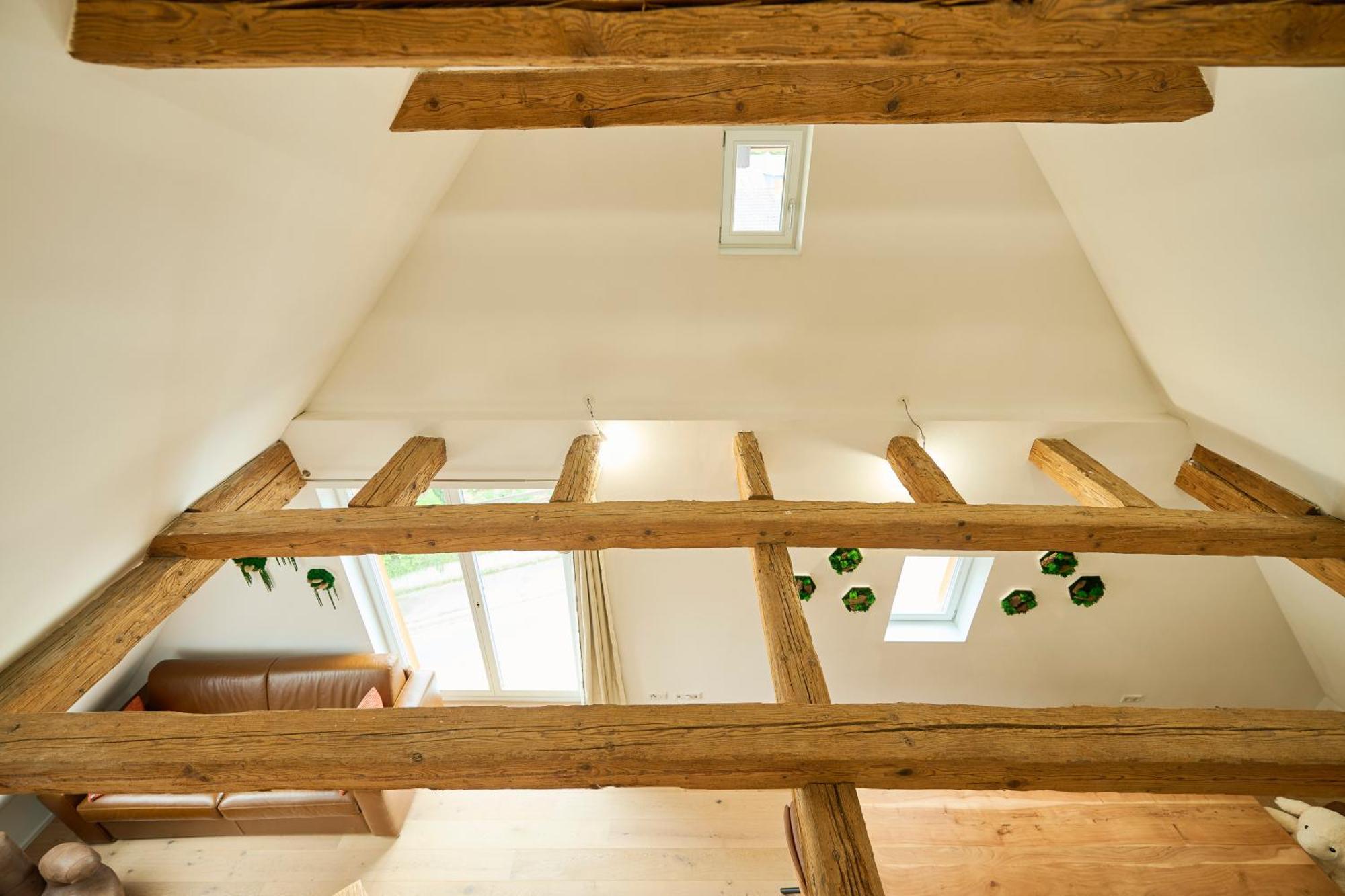 Ferienwohnung Wood World Luxury - Massage - Bergblick - Tranpolin- Parken Markdorf Exterior foto